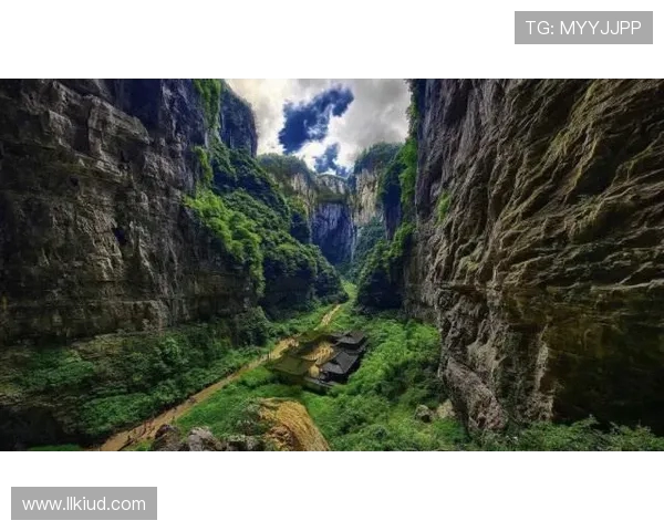 杩┈鍒╀簹鍥炲簲鍗氬崱鐞冭糠浜夎锛氱悊瑙ｅ槝澹帮紝鎰熸縺鐑儏